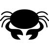 Cancer Cancer